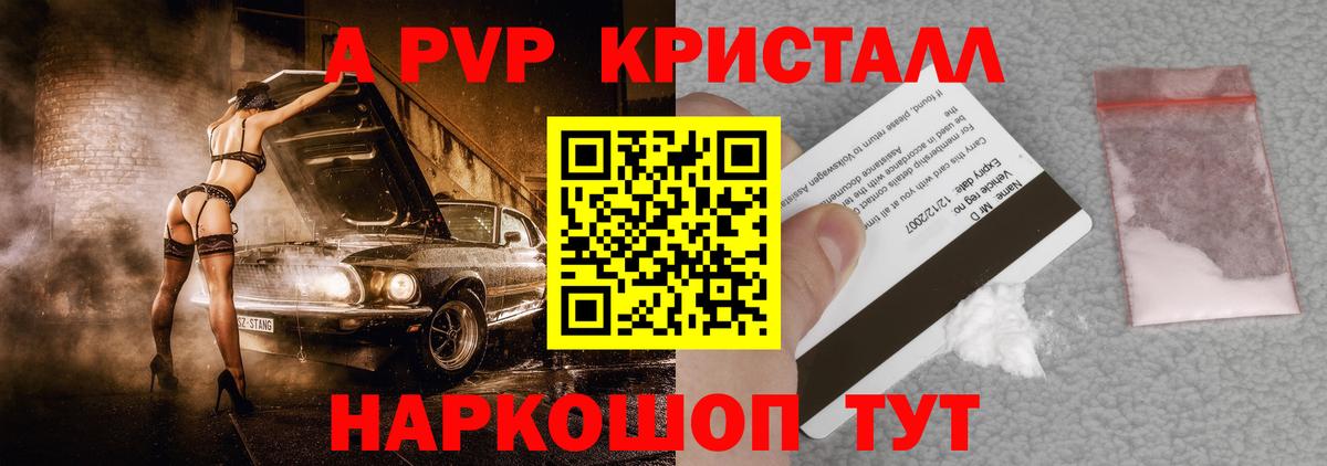 A PVP СК КРИС Петропавловск-Камчатский