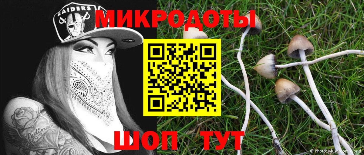 Псилоцибиновые грибы Magic Shrooms Петропавловск-Камчатский