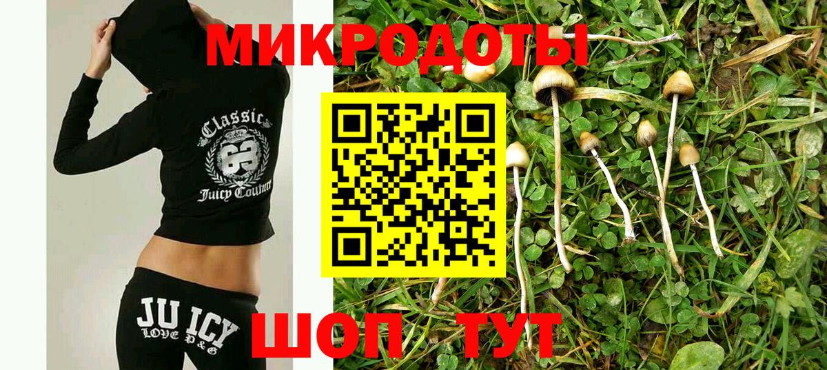 Псилоцибиновые грибы GOLDEN TEACHER  купить наркотик  Петропавловск-Камчатский  Вход с VPN 